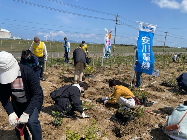 Acorn Tree-Planting Event